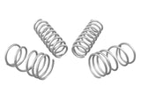Performance Lowering Springs