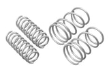 Performance Lowering Springs
